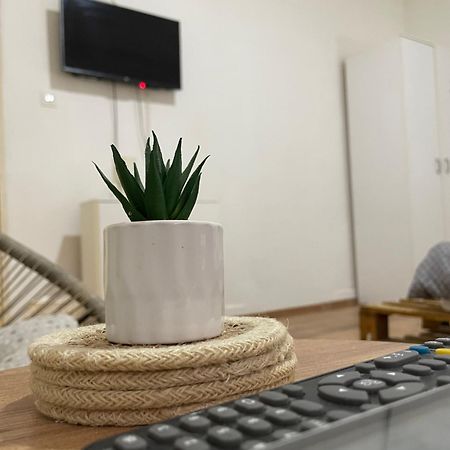 Fenix Apartman II Zajecar Bagian luar foto