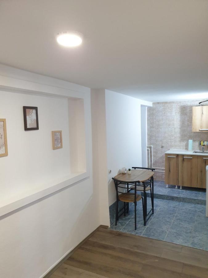 Fenix Apartman II Zajecar Bagian luar foto