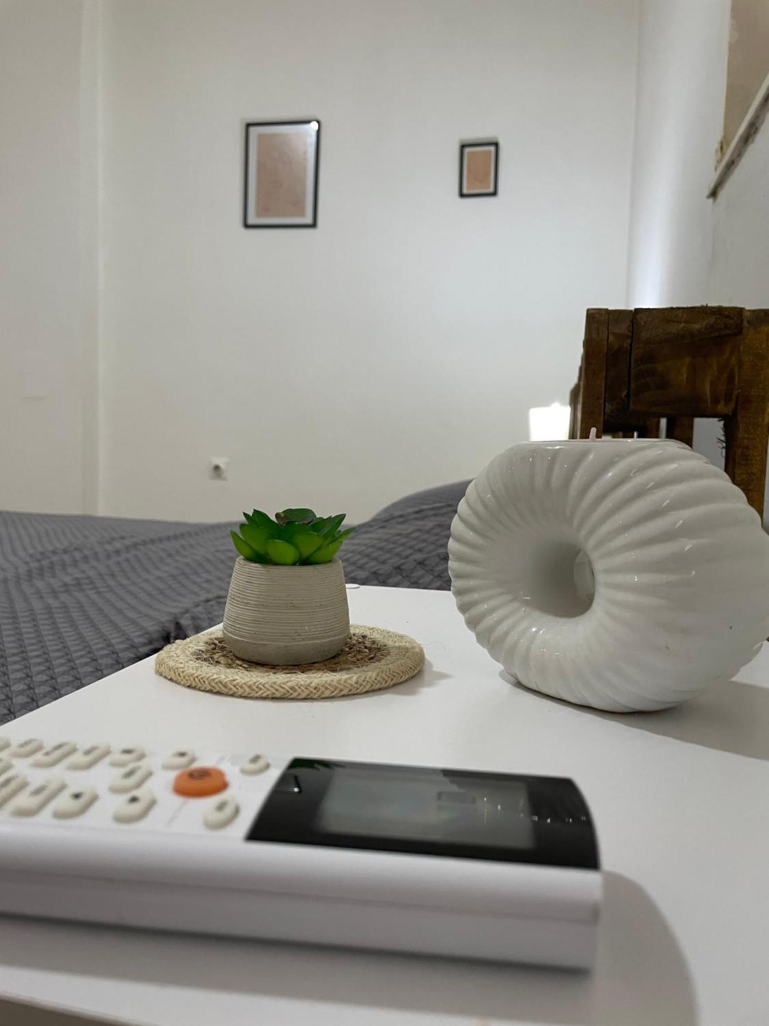 Fenix Apartman II Zajecar Bagian luar foto