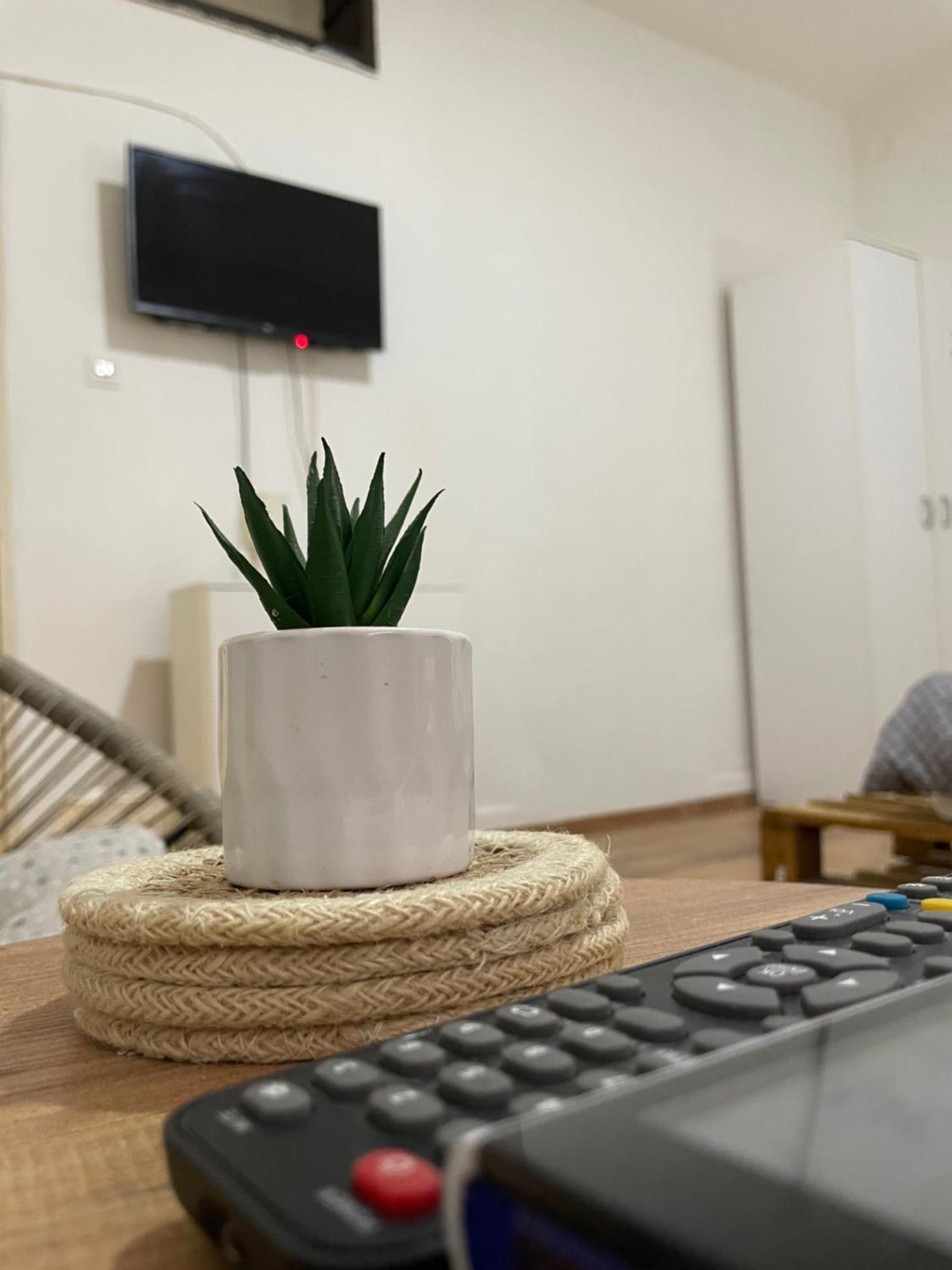 Fenix Apartman II Zajecar Bagian luar foto