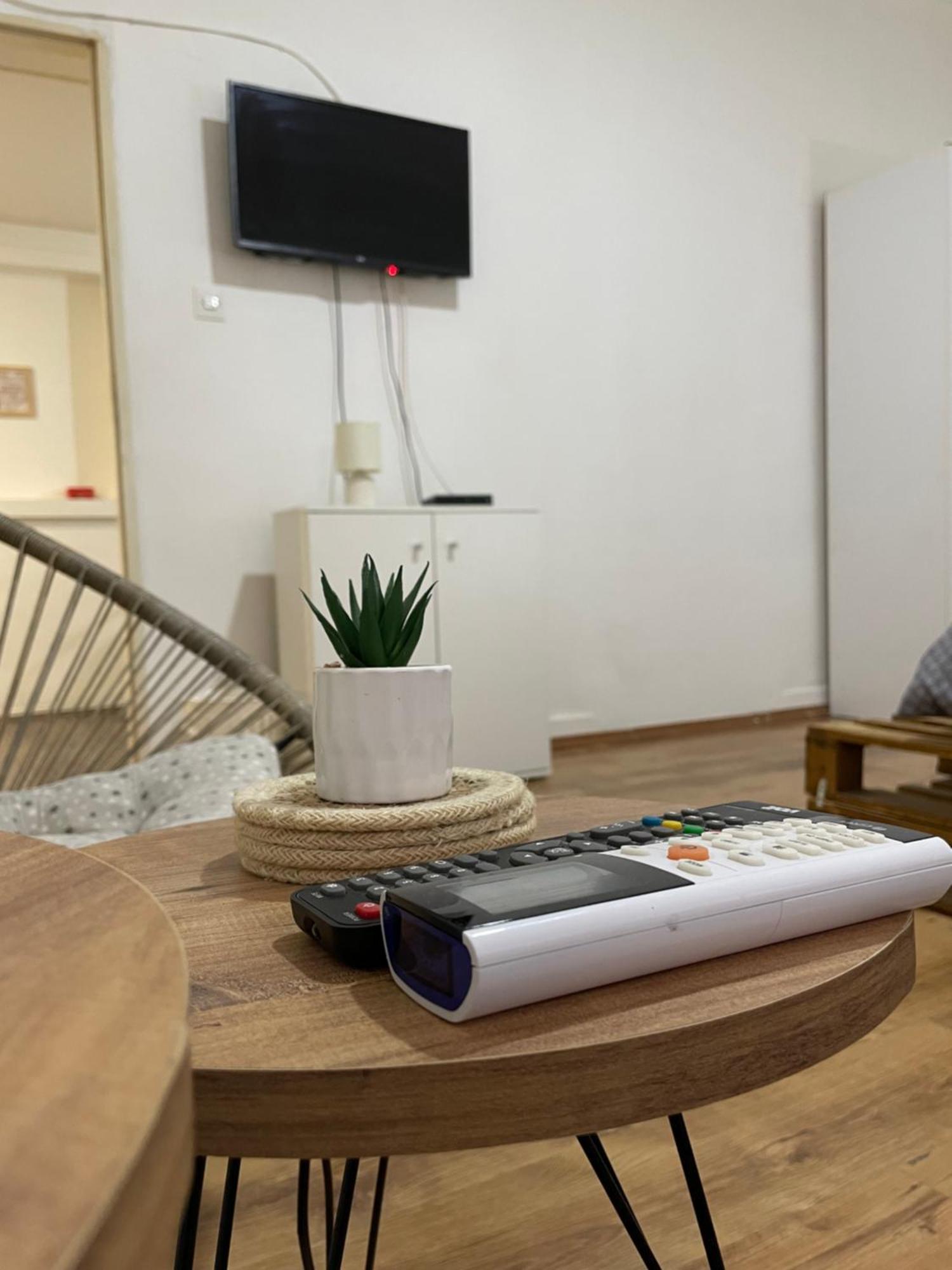 Fenix Apartman II Zajecar Bagian luar foto
