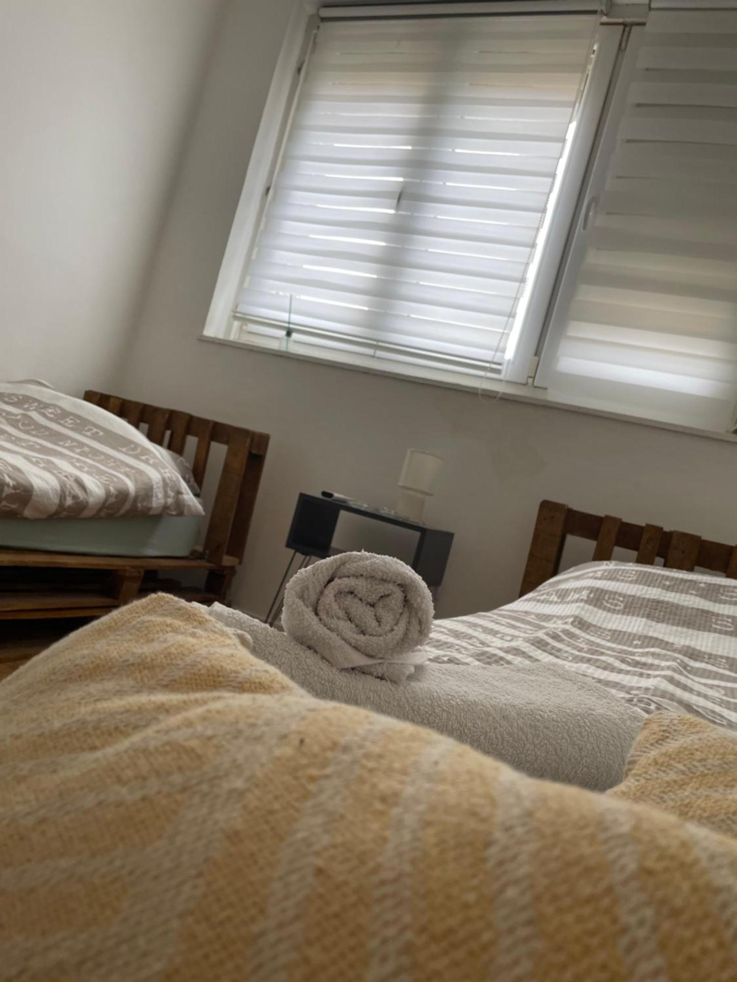 Fenix Apartman II Zajecar Bagian luar foto